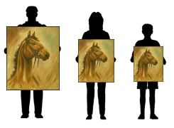 obraz Obraz - Hnědý kůň ve třech velikostech